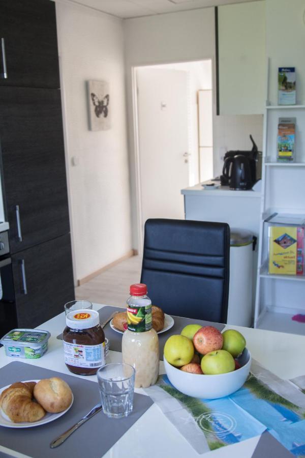 Fewo Maschblick Schwarmstedt Buitenkant foto